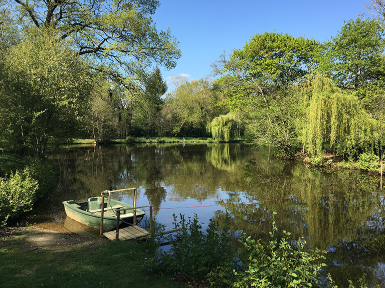 Parc et étang image 11