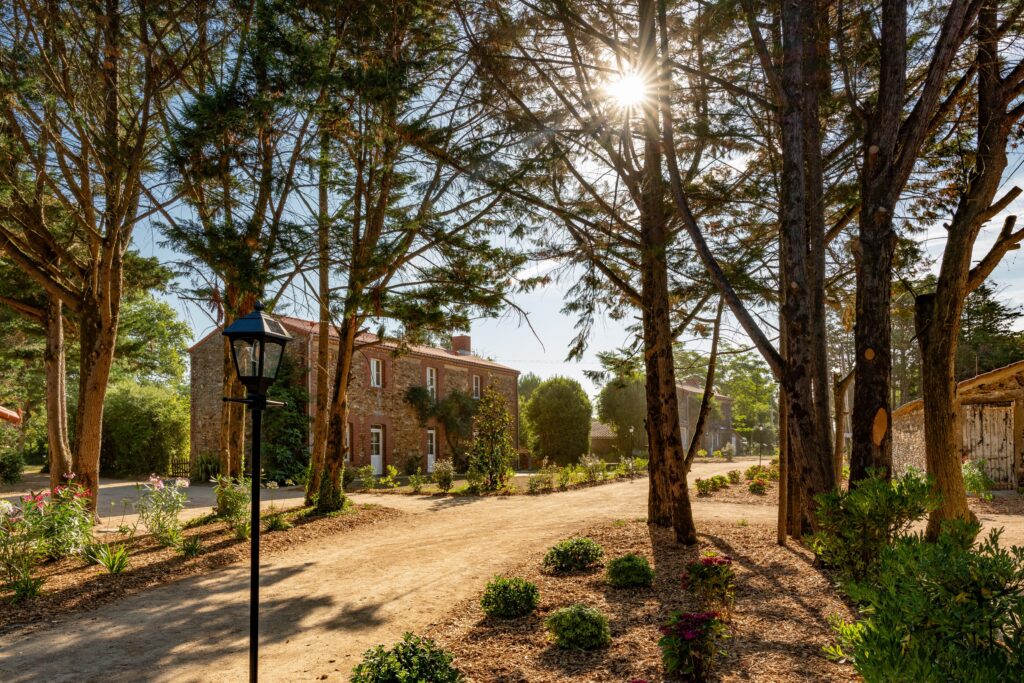 logis domaine etabliere