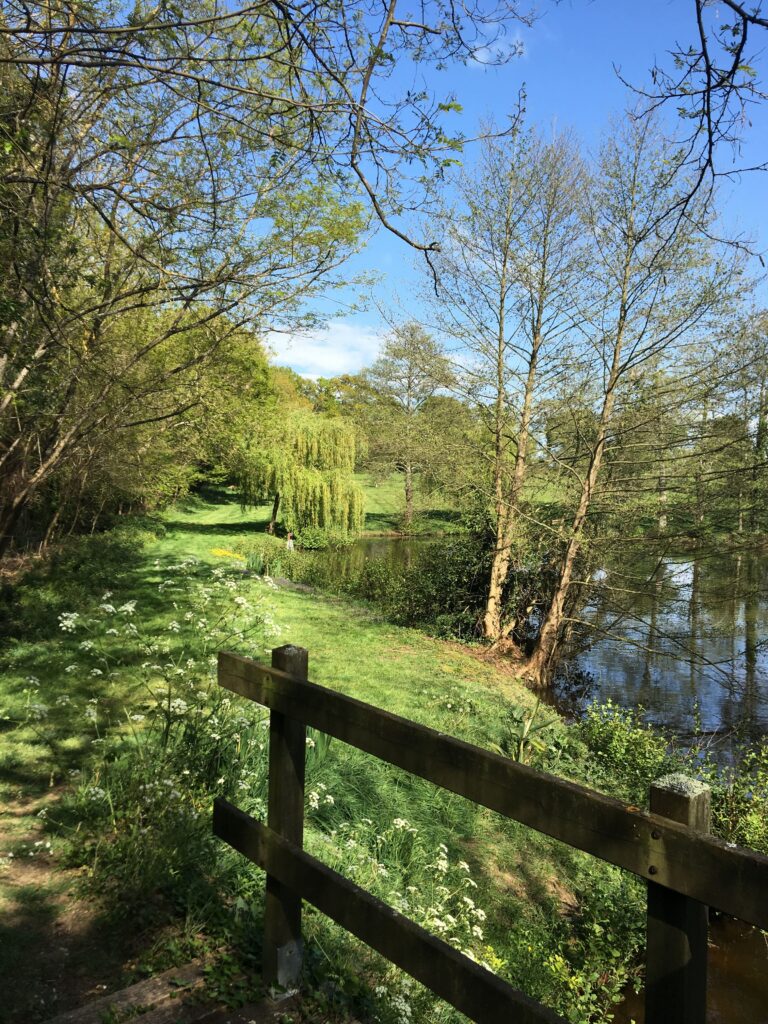 ponton etang etabliere